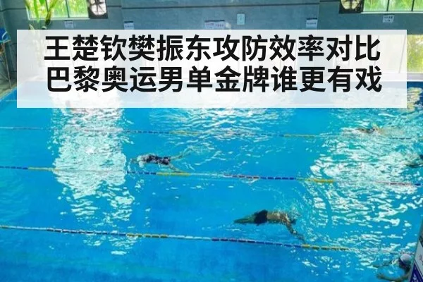 王楚钦樊振东攻防效率对比巴黎奥运男单金牌谁更有戏